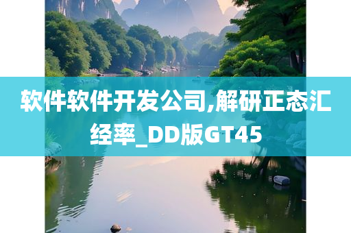 软件软件开发公司,解研正态汇经率_DD版GT45