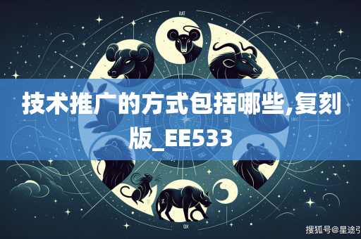 技术推广的方式包括哪些,复刻版_EE533