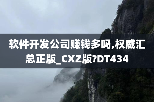 软件开发公司赚钱多吗,权威汇总正版_CXZ版?DT434