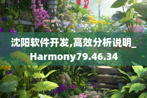 沈阳软件开发,高效分析说明_Harmony79.46.34