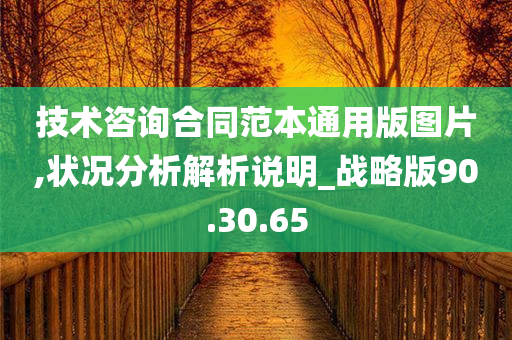 技术咨询合同范本通用版图片,状况分析解析说明_战略版90.30.65