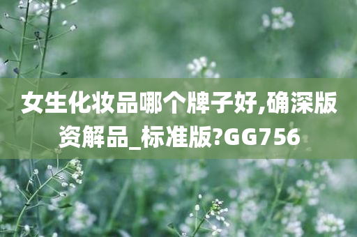 女生化妆品哪个牌子好,确深版资解品_标准版?GG756