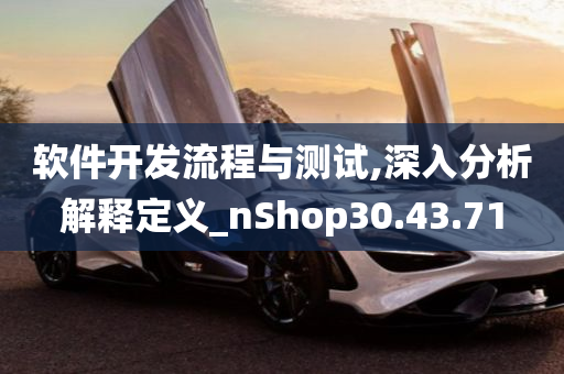 软件开发流程与测试,深入分析解释定义_nShop30.43.71