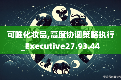 可唯化妆品,高度协调策略执行_Executive27.93.44