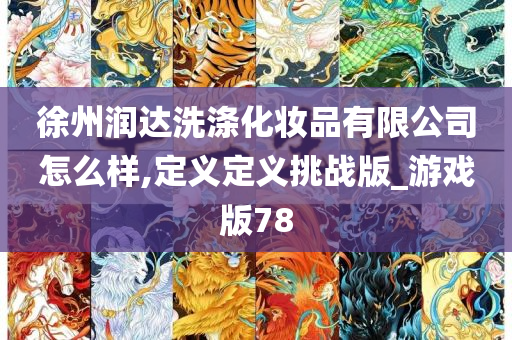 徐州润达洗涤化妆品有限公司怎么样,定义定义挑战版_游戏版78