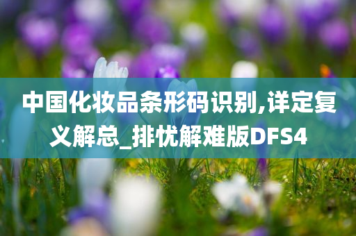 中国化妆品条形码识别,详定复义解总_排忧解难版DFS4