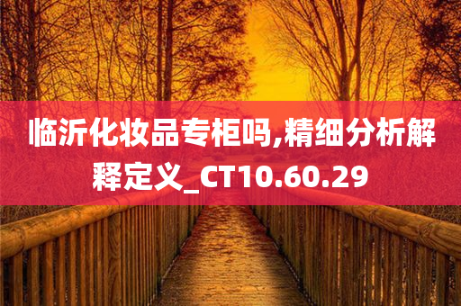 临沂化妆品专柜吗,精细分析解释定义_CT10.60.29