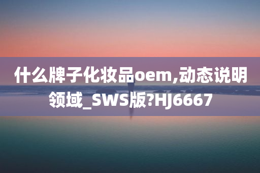 什么牌子化妆品oem,动态说明领域_SWS版?HJ6667