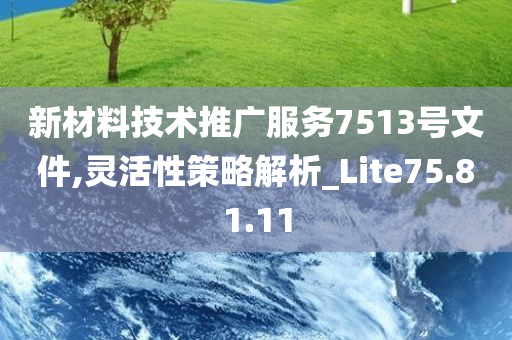 新材料技术推广服务7513号文件,灵活性策略解析_Lite75.81.11