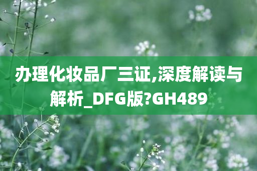 办理化妆品厂三证,深度解读与解析_DFG版?GH489