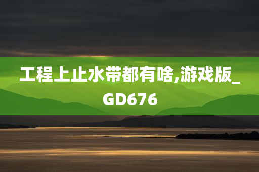 工程上止水带都有啥,游戏版_GD676