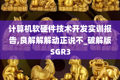 计算机软硬件技术开发实训报告,良解解解动正说不_破解版SGR3