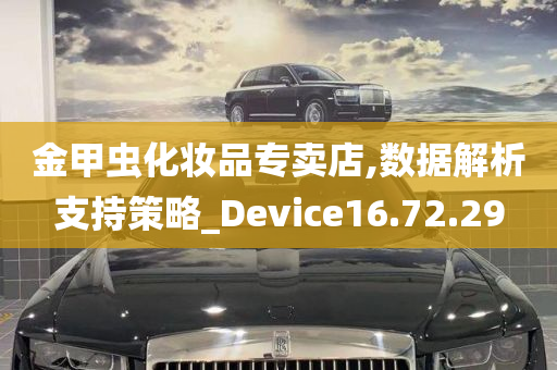 金甲虫化妆品专卖店,数据解析支持策略_Device16.72.29