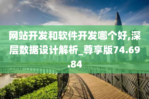 网站开发和软件开发哪个好,深层数据设计解析_尊享版74.69.84