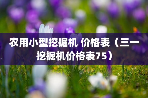 农用小型挖掘机 价格表（三一挖掘机价格表75）