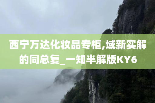 西宁万达化妆品专柜,域新实解的同总复_一知半解版KY6